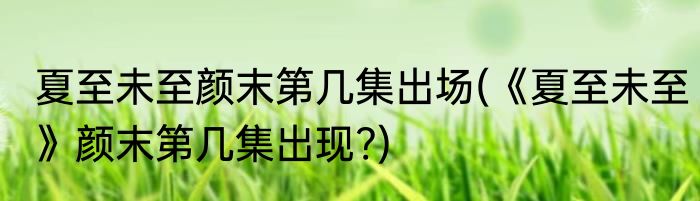 夏至未至颜末第几集出场(《夏至未至》颜末第几集出现?)