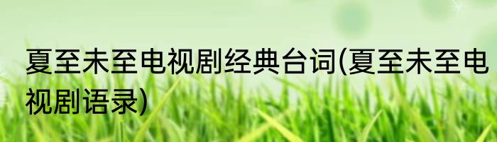 夏至未至电视剧经典台词(夏至未至电视剧语录)