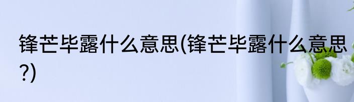 锋芒毕露什么意思(锋芒毕露什么意思?)
