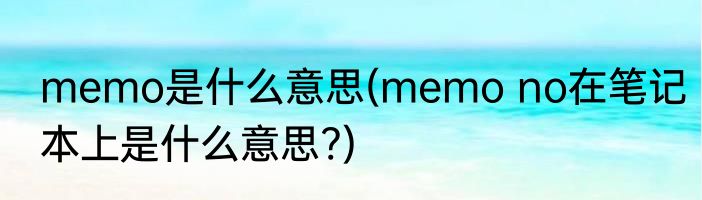 memo是什么意思(memo no在笔记本上是什么意思?)