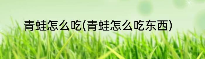 青蛙怎么吃(青蛙怎么吃东西)