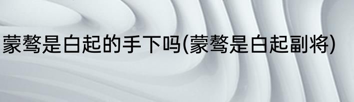 蒙骜是白起的手下吗(蒙骜是白起副将)