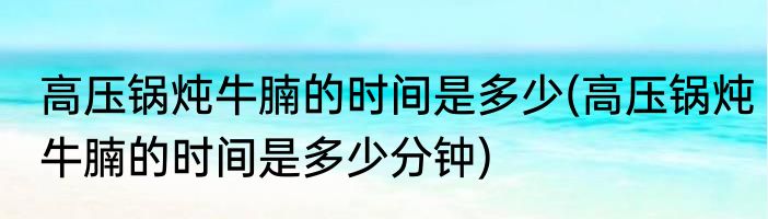 高压锅炖牛腩的时间是多少(高压锅炖牛腩的时间是多少分钟)