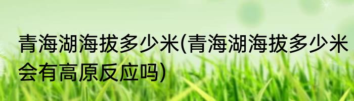 青海湖海拔多少米(青海湖海拔多少米会有高原反应吗)