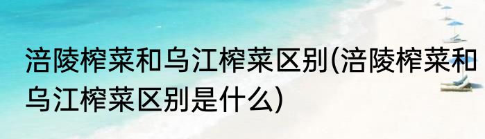 涪陵榨菜和乌江榨菜区别(涪陵榨菜和乌江榨菜区别是什么)