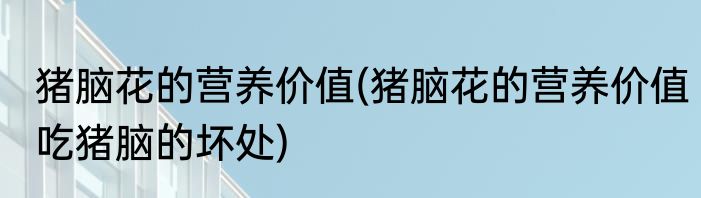 猪脑花的营养价值(猪脑花的营养价值吃猪脑的坏处)