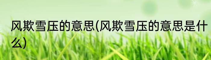 风欺雪压的意思(风欺雪压的意思是什么)