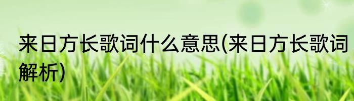 来日方长歌词什么意思(来日方长歌词解析)