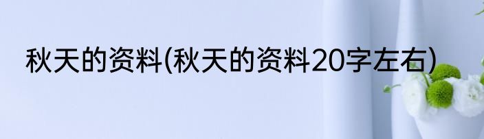 随风飘动的意思的意思(随风飘动的意思是什么意思)