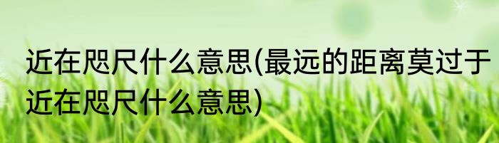 近在咫尺什么意思(最远的距离莫过于近在咫尺什么意思)