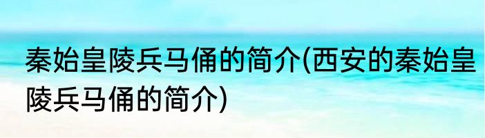 秦始皇陵兵马俑的简介(西安的秦始皇陵兵马俑的简介)
