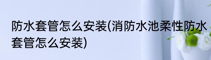 防水套管怎么安装(消防水池柔性防水套管怎么安装)