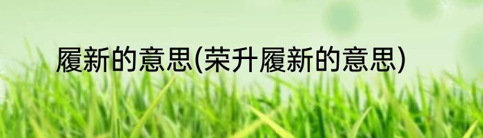 履新的意思(荣升履新的意思)