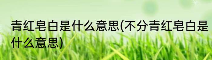 青红皂白是什么意思(不分青红皂白是什么意思)