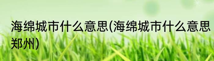海绵城市什么意思(海绵城市什么意思郑州)