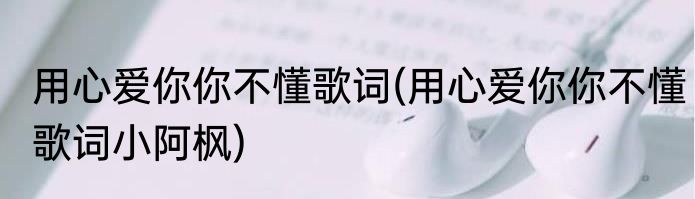 用心爱你你不懂歌词(用心爱你你不懂歌词小阿枫)