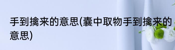 手到擒来的意思(囊中取物手到擒来的意思)
