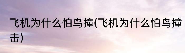 飞机为什么怕鸟撞(飞机为什么怕鸟撞击)