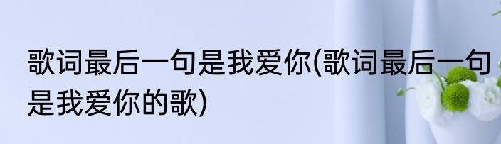 歌词最后一句是我爱你(歌词最后一句是我爱你的歌)