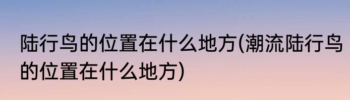 陆行鸟的位置在什么地方(潮流陆行鸟的位置在什么地方)