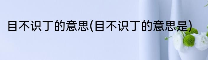目不识丁的意思(目不识丁的意思是)