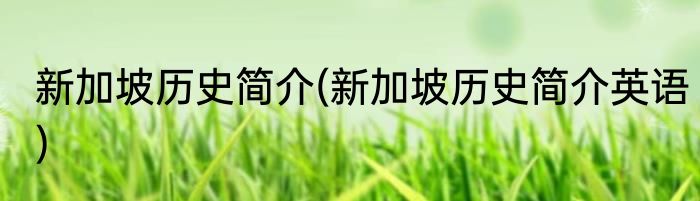 新加坡历史简介(新加坡历史简介英语)