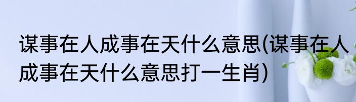 谋事在人成事在天什么意思(谋事在人成事在天什么意思打一生肖)