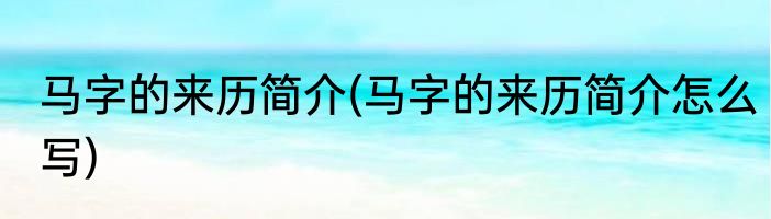 马字的来历简介(马字的来历简介怎么写)