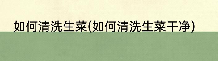 如何清洗生菜(如何清洗生菜干净)