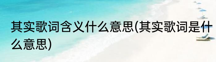 其实歌词含义什么意思(其实歌词是什么意思)