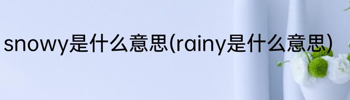 snowy是什么意思(rainy是什么意思)