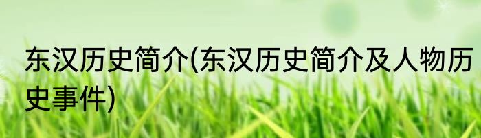 东汉历史简介(东汉历史简介及人物历史事件)