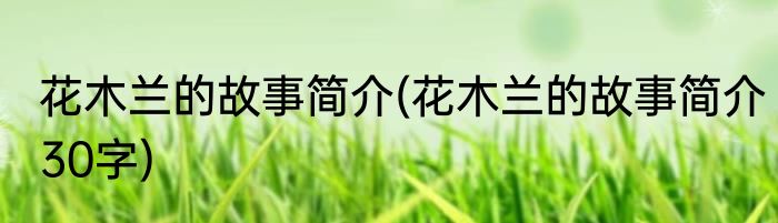 花木兰的故事简介(花木兰的故事简介30字)