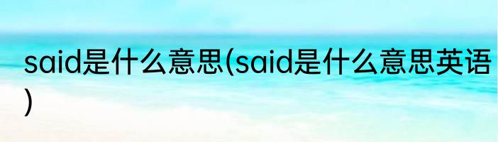 said是什么意思(said是什么意思英语)