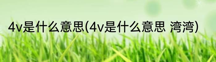 4v是什么意思(4v是什么意思 湾湾)