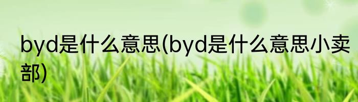 byd是什么意思(byd是什么意思小卖部)
