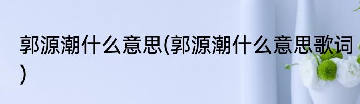 郭源潮什么意思(郭源潮什么意思歌词)