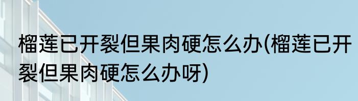 榴莲已开裂但果肉硬怎么办(榴莲已开裂但果肉硬怎么办呀)
