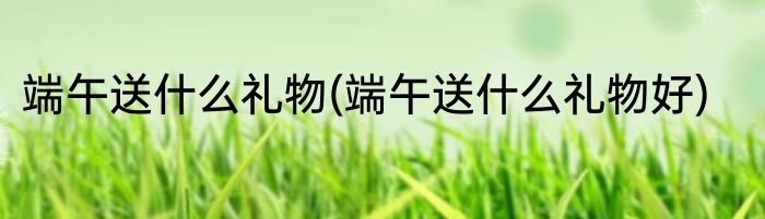 端午送什么礼物(端午送什么礼物好)