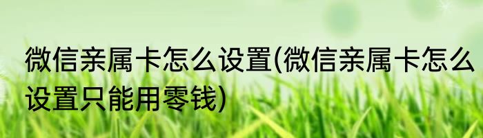 微信亲属卡怎么设置(微信亲属卡怎么设置只能用零钱)