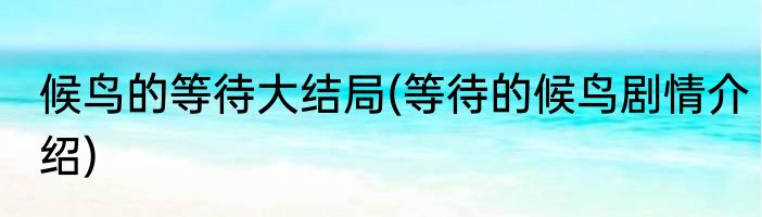 候鸟的等待大结局(等待的候鸟剧情介绍)