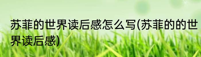 苏菲的世界读后感怎么写(苏菲的的世界读后感)