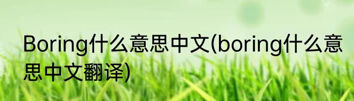Boring什么意思中文(boring什么意思中文翻译)