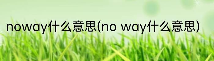 noway什么意思(no way什么意思)