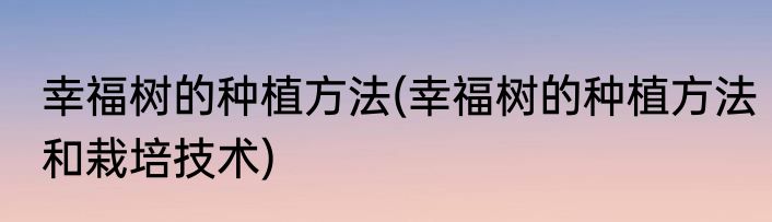 幸福树的种植方法(幸福树的种植方法和栽培技术)