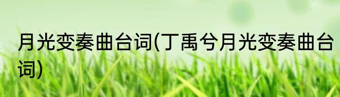 月光变奏曲台词(丁禹兮月光变奏曲台词)