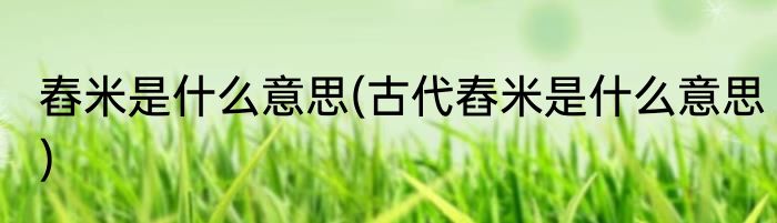 舂米是什么意思(古代舂米是什么意思)