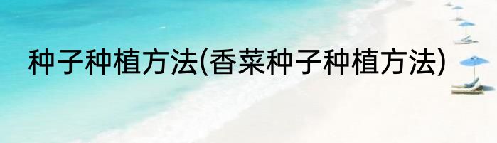 种子种植方法(香菜种子种植方法)