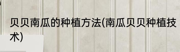 贝贝南瓜的种植方法(南瓜贝贝种植技术)