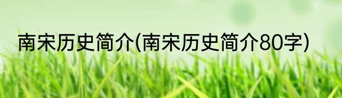 南宋历史简介(南宋历史简介80字)